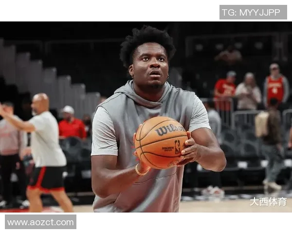 克林特卡佩拉：从天赋新星到NBA篮板王的成长之路